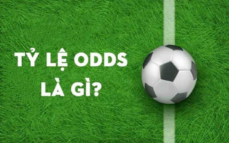 Khái niệm Odds là gì người mới cần nắm