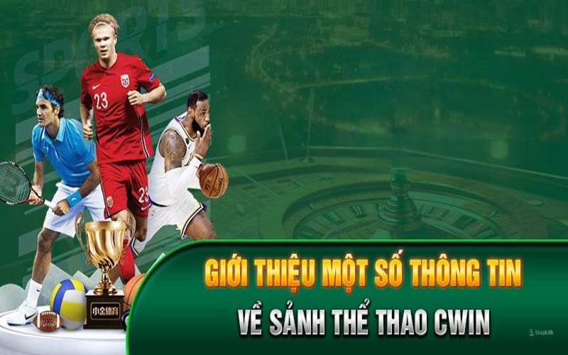 Sảnh cược thể thao Cwin cung cấp đa dạng trận đấu, phong phú tỉ lệ kèo hấp dẫn